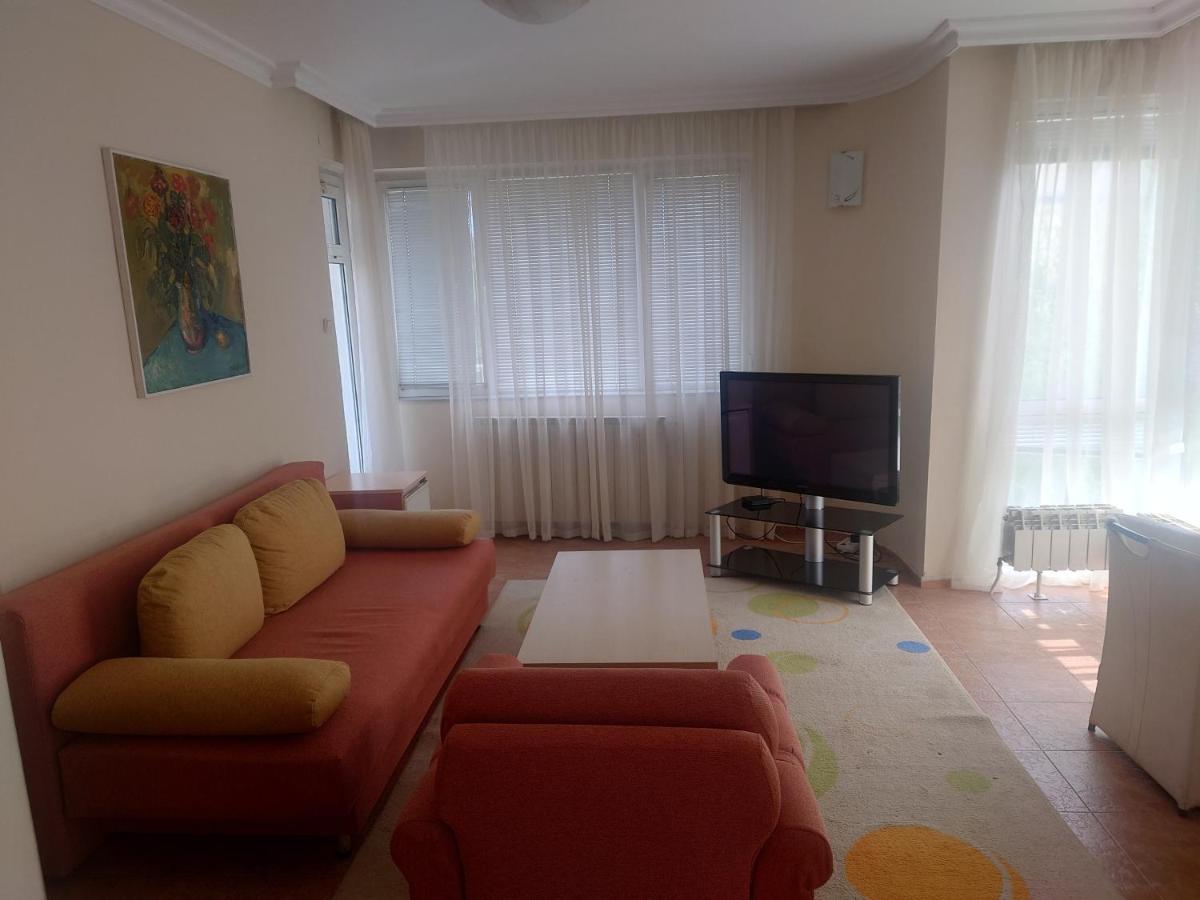 Hotel Zora Βιδίνιο Εξωτερικό φωτογραφία